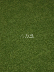 Haima Coral 30 фото 11 | FLOORDEALER